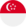 Singapore flag
